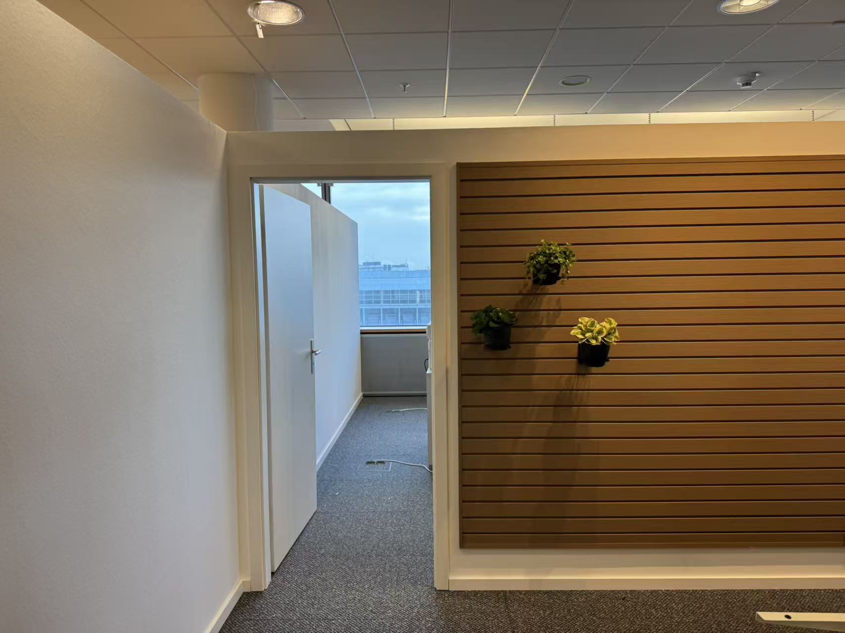 Frankfurt DZF - Showroom